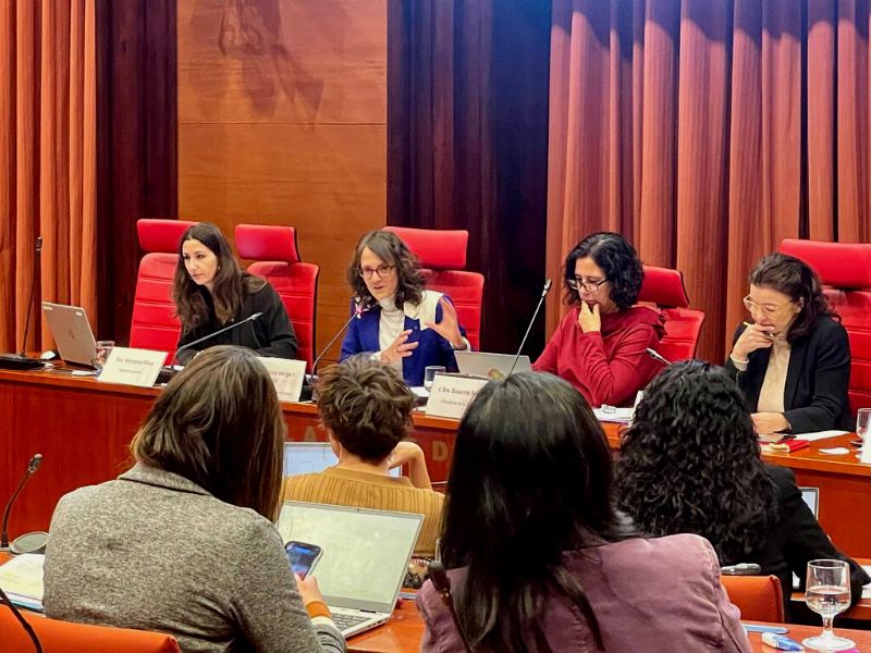 Presentació dels pressupostos 2023 del Departament d'Igualtat i Feminism Presentació dels pressupostos 2023 del Departament d'Igualtat i Feminism