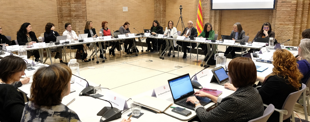 Comissió Dones i Ciència Comissió Dones i Ciència