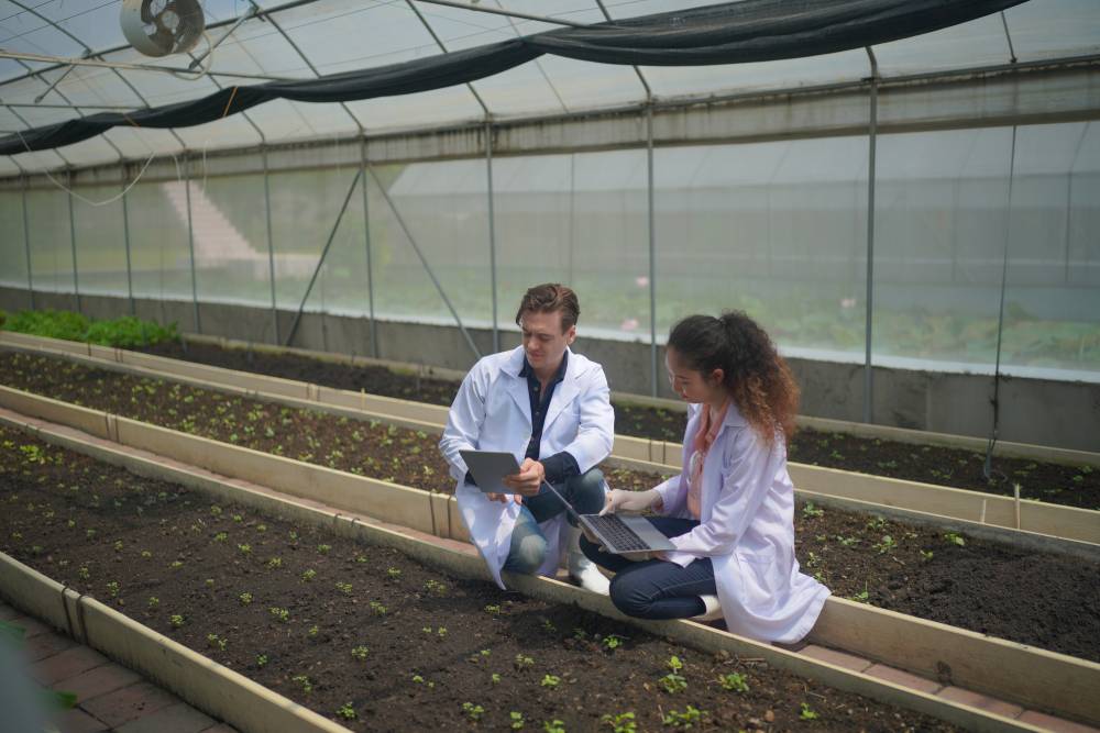 Fotografia 1 Fotografia 1