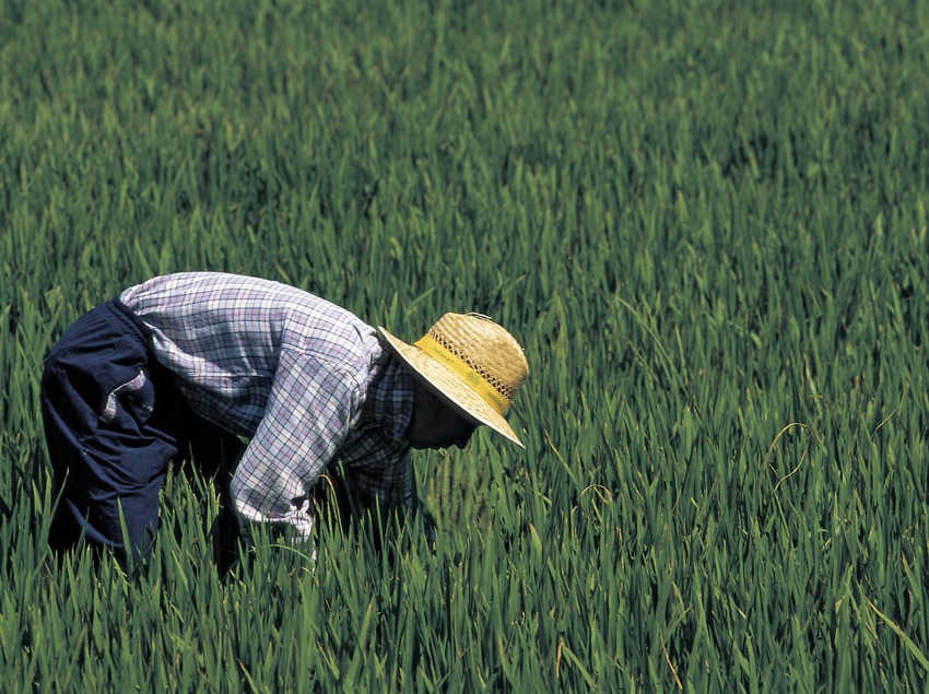 Arriba la 8a edició de la gran festa de la pagesia catalana que tornarà el cap de setmana del 30 de setembre i 1 d’octubre amb una nova edició de portes obertes i visites gratuïtes a les explotacions agroalimentàries de Catalunya Arriba la 8a edició de la gran festa de la pagesia catalana que tornarà el cap de setmana del 30 de setembre i 1 d’octubre amb una nova edició de portes obertes i visites gratuïtes a les explotacions agroalimentàries de Catalunya