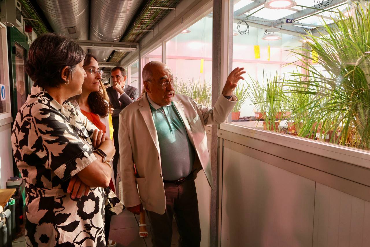 Fotografia 1 Fotografia 1