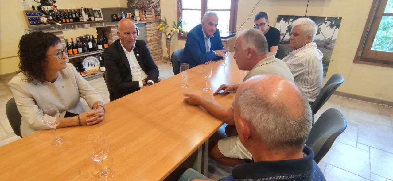 El conseller Mascort també ha conegut el projecte de la Vinícola del Priorat, SCCL, de Gratallops, l’únic celler cooperatiu de la DOQ Priorat El conseller Mascort també ha conegut el projecte de la Vinícola del Priorat, SCCL, de Gratallops, l’únic celler cooperatiu de la DOQ Priorat