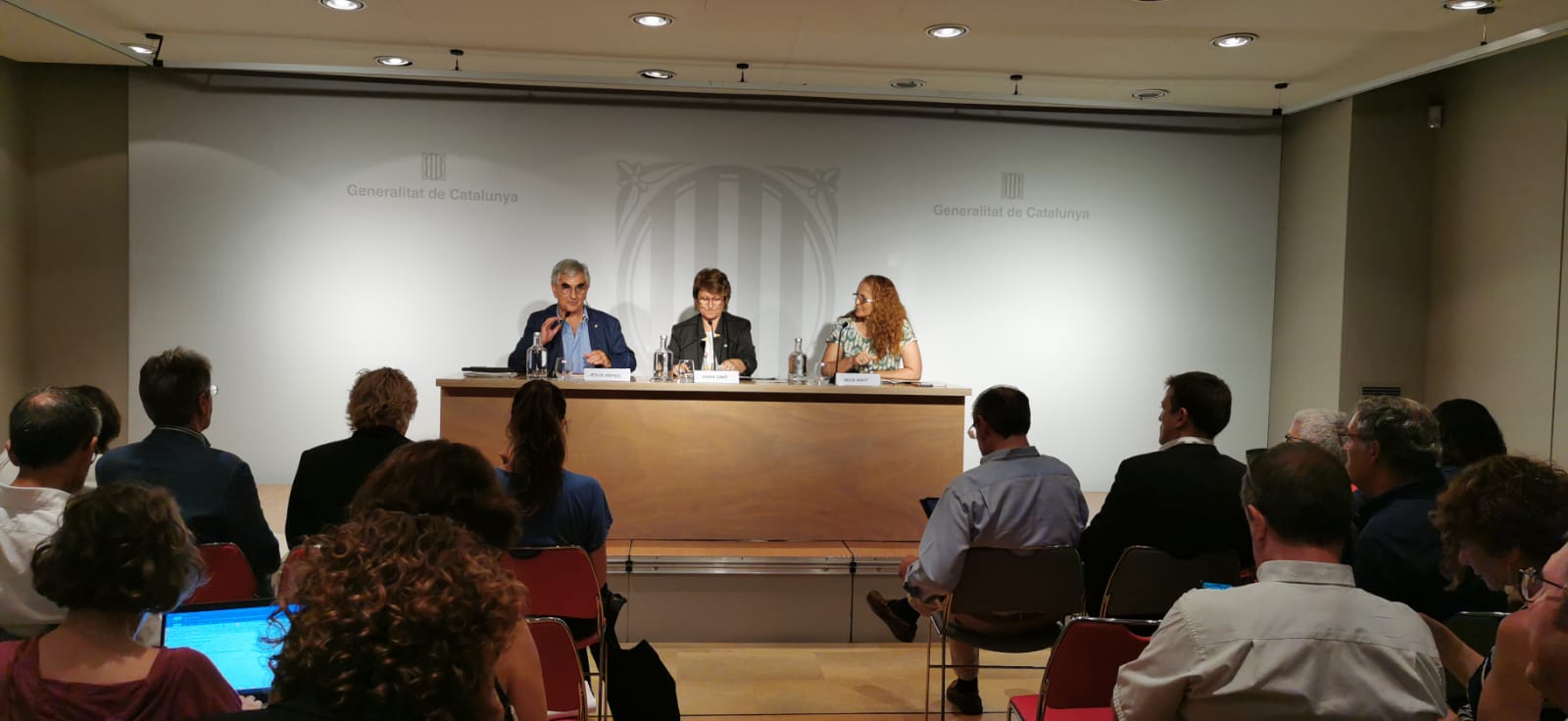 La consellera Simó compareixent davant del ple del CEC La consellera Simó compareixent davant del ple del CEC