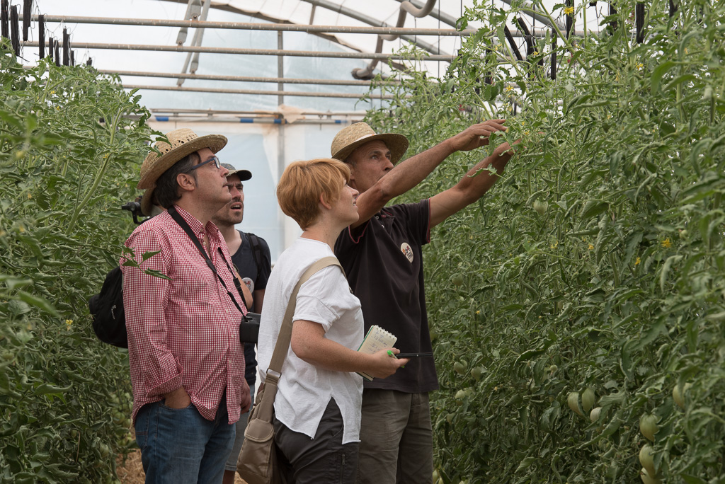 Una de les explotacions que participa Una de les explotacions que participa