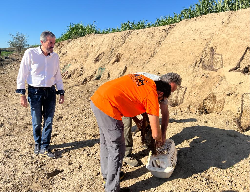 Una altra imatge d'aquest matí a Roda de Ter Una altra imatge d'aquest matí a Roda de Ter