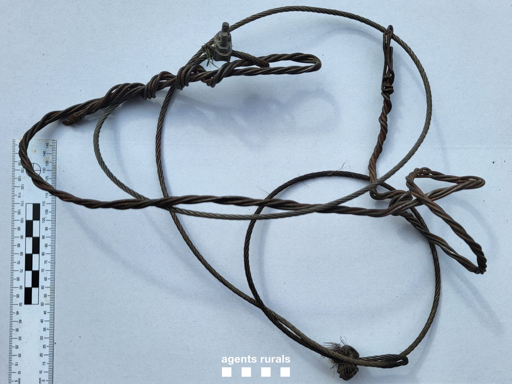 llaç comissat llaç comissat