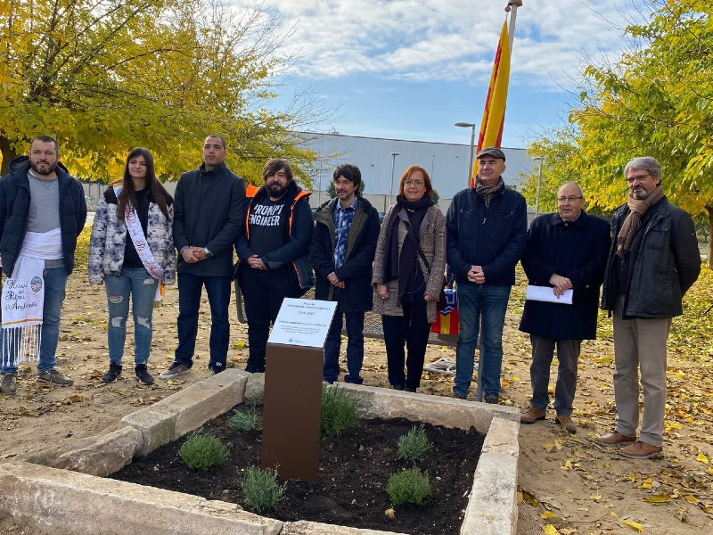 Plaça Carme Junyent al Palau d'Anglesola Plaça Carme Junyent al Palau d'Anglesola