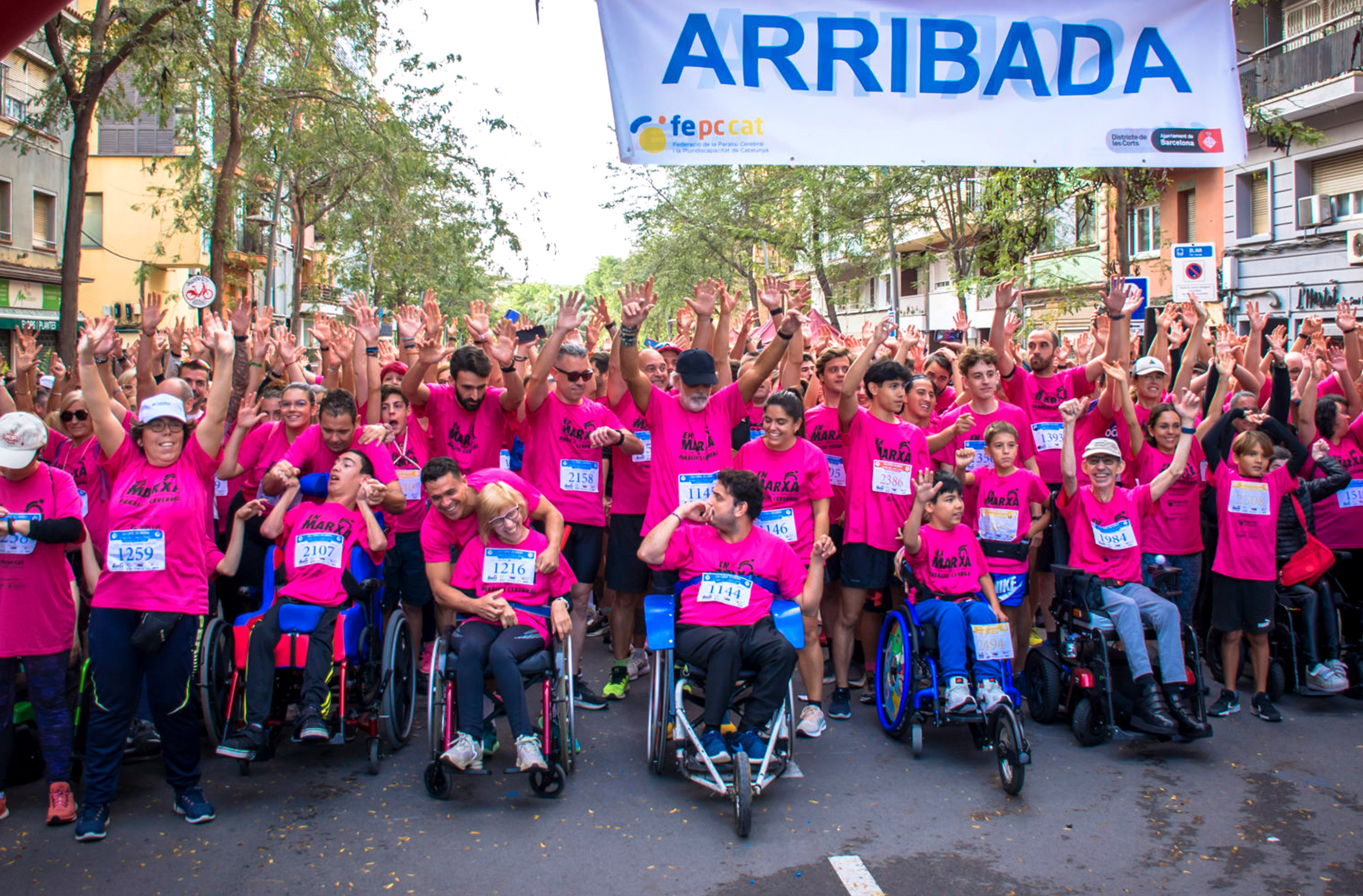 Imatge de la FEPCCAT Imatge de la FEPCCAT