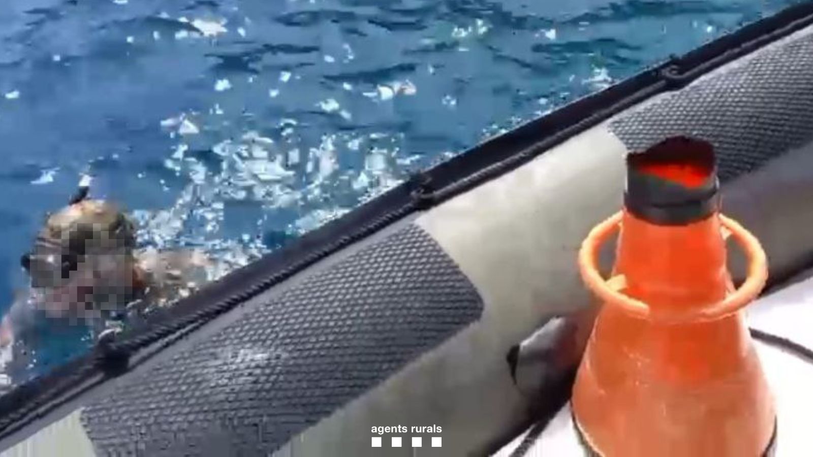 Imatge de l'actuació Imatge de l'actuació