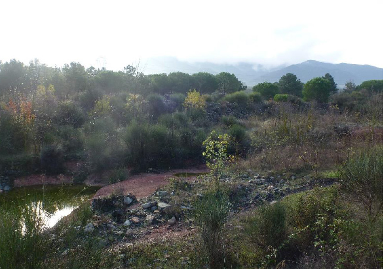 Detall del riu Sec. Detall del riu Sec.