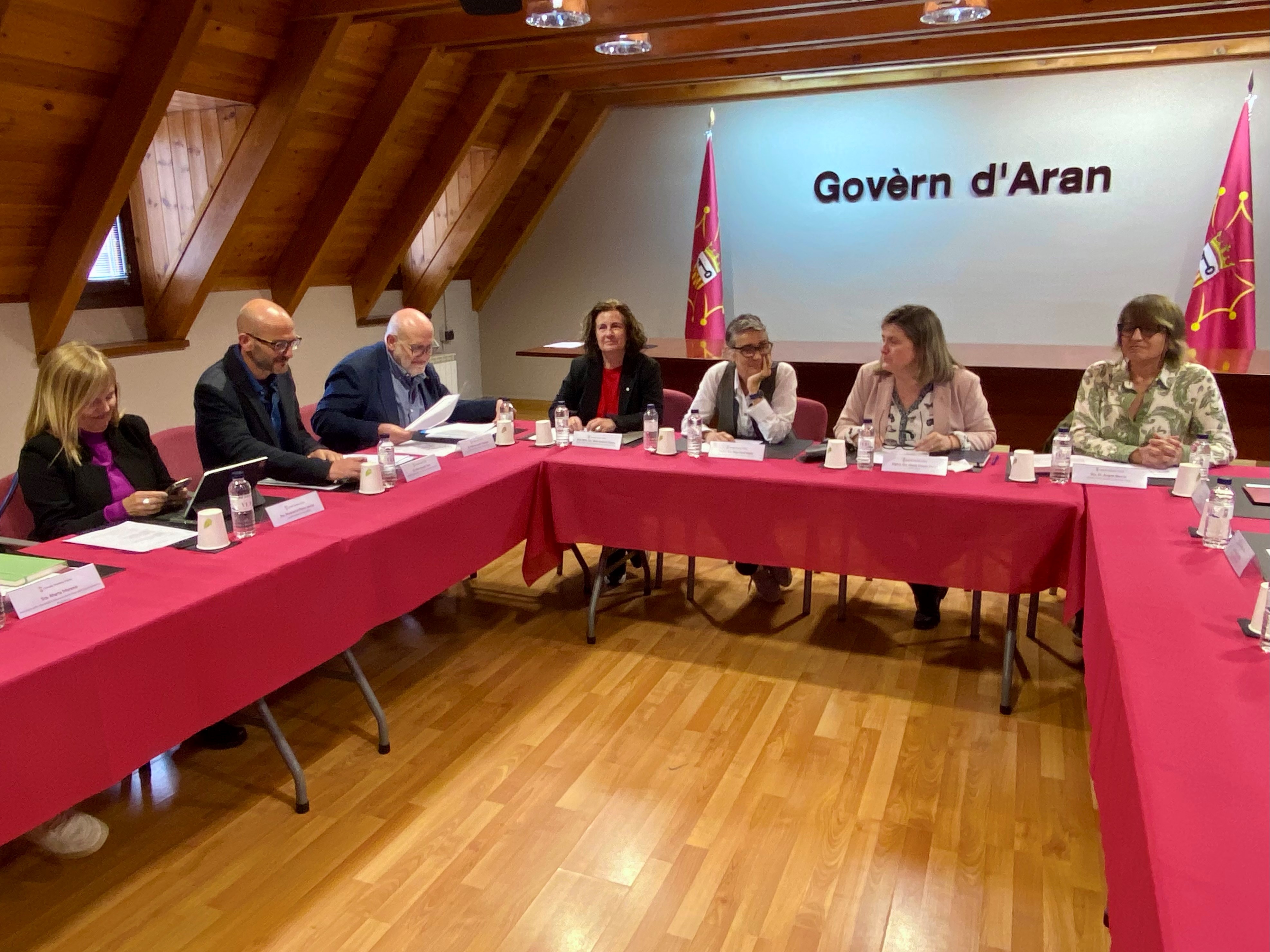 La consellera de Salut ha visitat el Conselh Generau d’Aran, a Vielha, per participar en la Comissió bilateral de seguiment del traspàs de competències en l’àmbit de la salut La consellera de Salut ha visitat el Conselh Generau d’Aran, a Vielha, per participar en la Comissió bilateral de seguiment del traspàs de competències en l’àmbit de la salut
