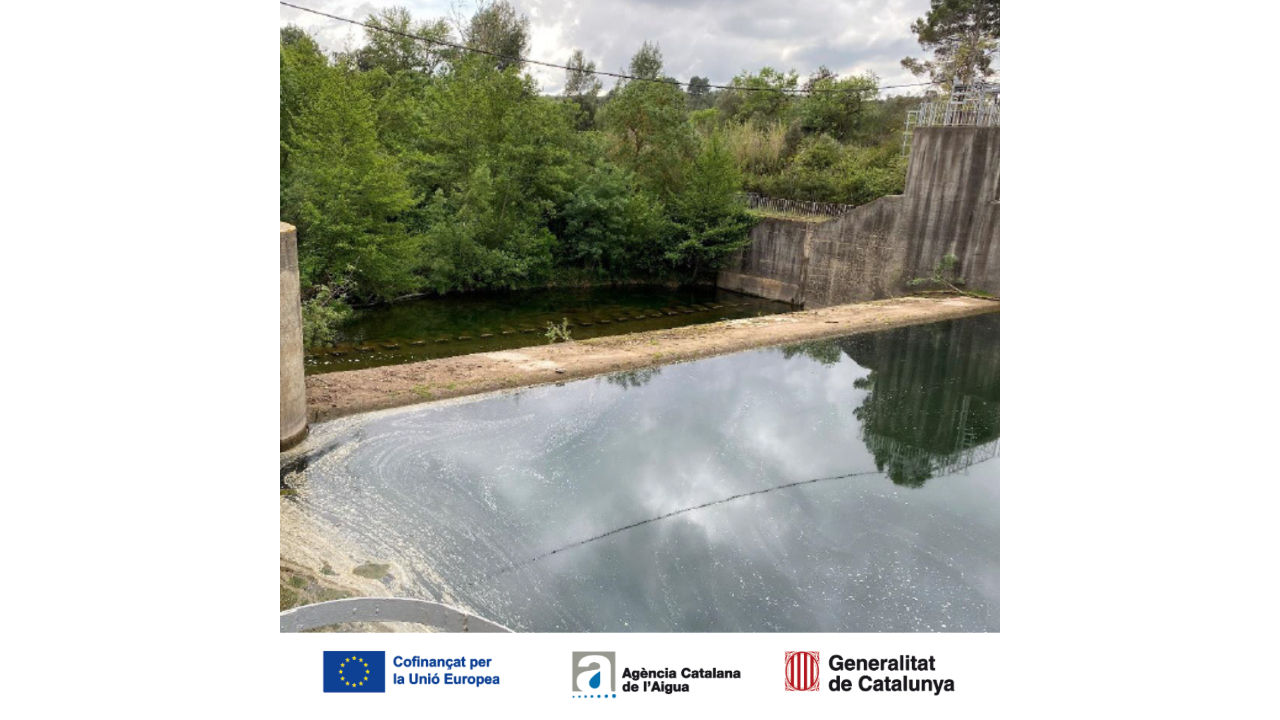 Zona de coronació de l'assut de Pont de Molins. Zona de coronació de l'assut de Pont de Molins.