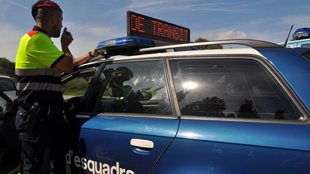 Dispositiu especial de trànsit Dispositiu especial de trànsit