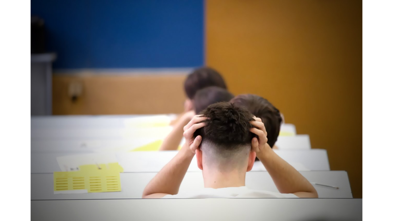 Foto PAU 2025 Foto PAU 2025