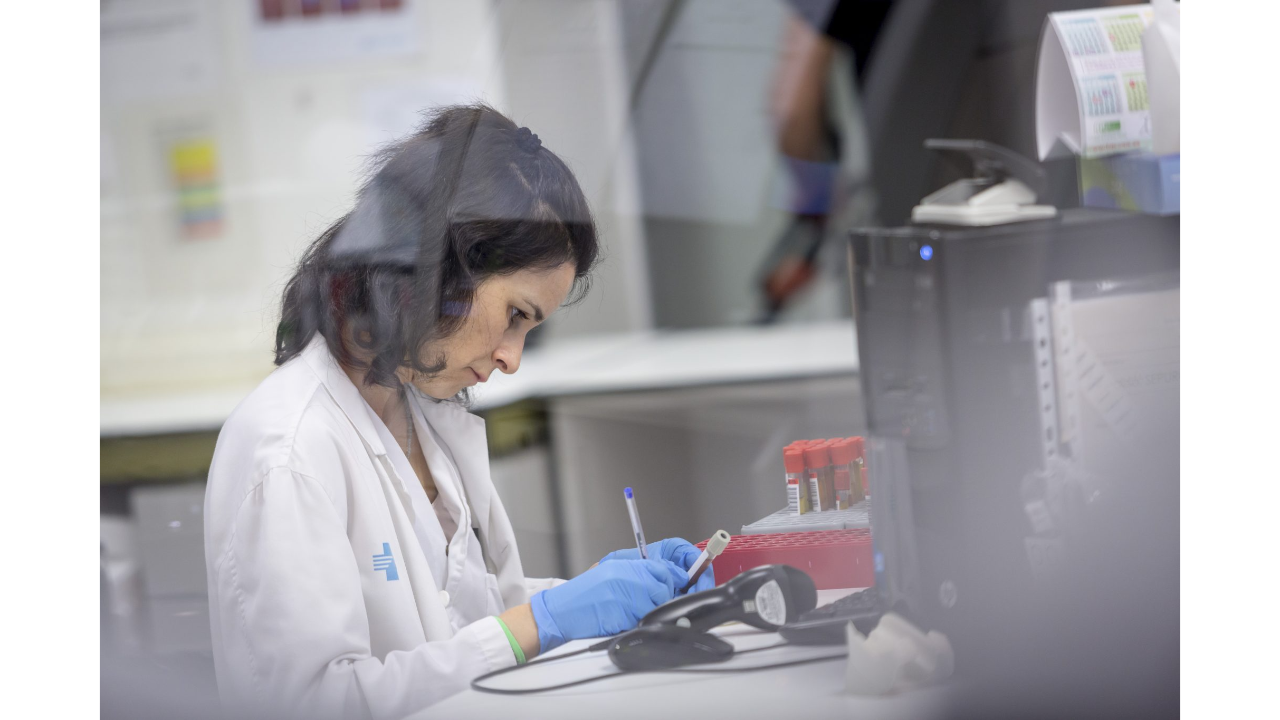 Laboratori del Verge de la Cinta Laboratori del Verge de la Cinta