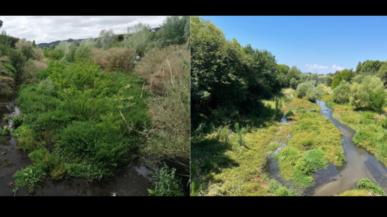 Tram del riu Ridaura on s'ha fet l'actuació, comparant l'abans i el després dels treballs. Tram del riu Ridaura on s'ha fet l'actuació, comparant l'abans i el després dels treballs.